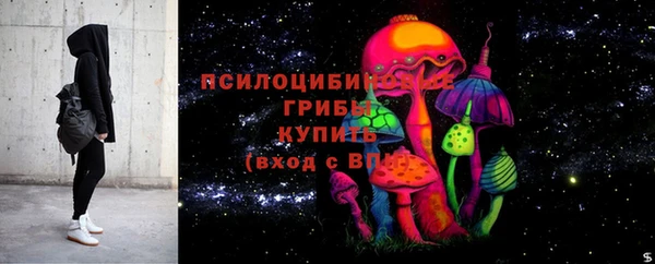 шишки Армянск