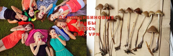 метадон Аркадак