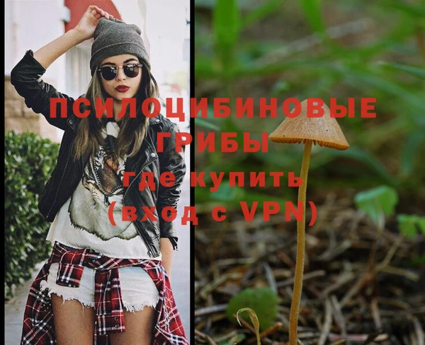 дмт Балабаново