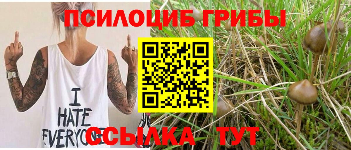 Галлюциногенные грибы мицелий Пермь